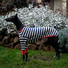 Load image into Gallery viewer, Sailor Rouge - Whippet Dog Clothing & Coats