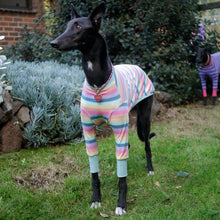 Load image into Gallery viewer, Paddlepup - Whippet Dog Clothing & Coats