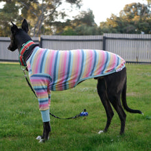 Load image into Gallery viewer, Paddlepup - Whippet Dog Clothing & Coats