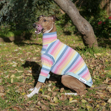 Load image into Gallery viewer, Paddlepup - Italian Greyhound (Iggy) Dog Clothing & Coats