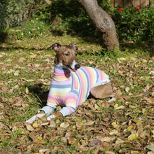 Load image into Gallery viewer, Paddlepup - Italian Greyhound (Iggy) Dog Clothing & Coats