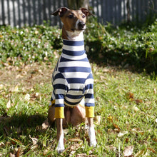 Load image into Gallery viewer, Sailor Mustard - Italian Greyhound (Iggy) Dog Clothing & Coats