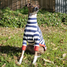 Load image into Gallery viewer, Sailor Rouge - Italian Greyhound (Iggy) Dog Clothing & Coats