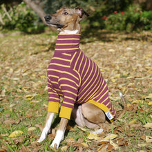 Load image into Gallery viewer, The Padfoot - Italian Greyhound (Iggy) Dog Clothing & Coats