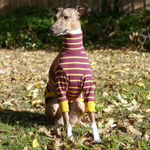 Load image into Gallery viewer, The Padfoot - Italian Greyhound (Iggy) Dog Clothing & Coats