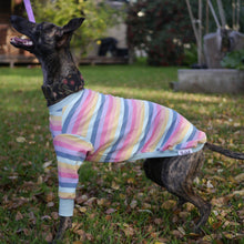 Load image into Gallery viewer, Paddlepup - Whippet Dog Clothing & Coats
