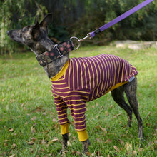 Load image into Gallery viewer, The Padfoot - Whippet Dog Clothing & Coats
