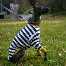 Load image into Gallery viewer, Sailor Mustard - Whippet Dog Clothing & Coats
