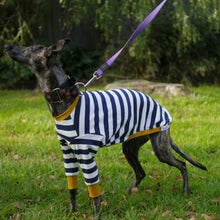 Load image into Gallery viewer, Sailor Mustard - Whippet Dog Clothing & Coats