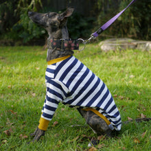 Load image into Gallery viewer, Sailor Mustard - Whippet Dog Clothing & Coats