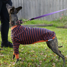 Load image into Gallery viewer, Gator Hound - Whippet Dog Clothing & Coats