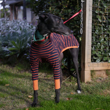 Load image into Gallery viewer, Gator Hound - Greyhound Dog Clothing & Coats