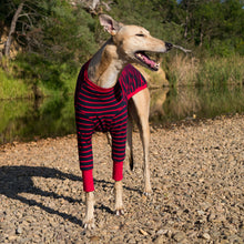 Load image into Gallery viewer, Blaze Runner - Greyhound Dog Clothing & Coats