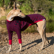 Load image into Gallery viewer, Blaze Runner - Greyhound Dog Clothing & Coats