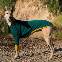 Load image into Gallery viewer, Emerald Hound - Whippet Dog Clothing & Coats