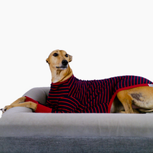 Load image into Gallery viewer, Blaze Runner - Greyhound Dog Clothing & Coats