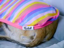 Load image into Gallery viewer, Candy Cuff - Whippet Dog Clothing & Coats