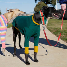 Load image into Gallery viewer, Emerald Hound - Whippet Dog Clothing & Coats