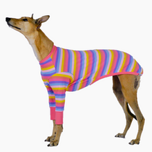 Load image into Gallery viewer, Candy Cuff - Greyhound Dog Clothing & Coats