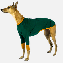 Load image into Gallery viewer, Emerald Hound - Whippet Dog Clothing & Coats