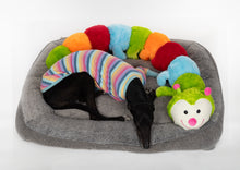 Load image into Gallery viewer, Cuddlepillar XL - Standard - Extra Large Dog Plush Toy