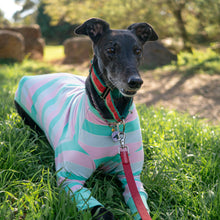 Load image into Gallery viewer, Soda Snoot - Whippet Dog Clothing & Coats