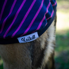 Load image into Gallery viewer, Violet Zoomie - Whippet Dog Clothing & Coats