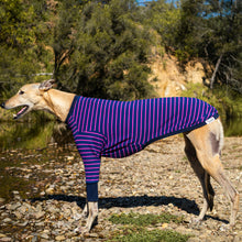 Load image into Gallery viewer, Violet Zoomie - Greyhound Dog Clothing & Coats
