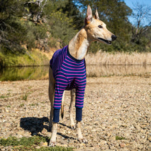 Load image into Gallery viewer, Violet Zoomie - Whippet Dog Clothing & Coats