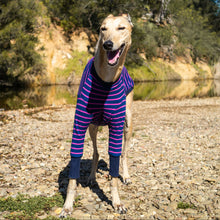 Load image into Gallery viewer, Violet Zoomie - Greyhound Dog Clothing & Coats