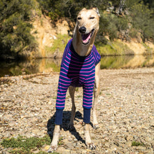 Load image into Gallery viewer, Dog wearing a purple and blue striped outfit standing on a rocky shoreline with trees in the background.