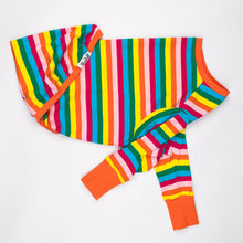 Load image into Gallery viewer, Sour Patch Pup - Greyhound Dog Clothing & Coats