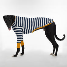 Load image into Gallery viewer, Sailor Mustard - Greyhound Dog Clothing & Coats