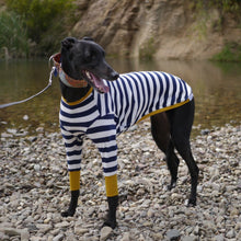 Load image into Gallery viewer, Sailor Mustard - Whippet Dog Clothing & Coats