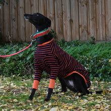 Load image into Gallery viewer, Gator Hound - Greyhound Dog Clothing & Coats