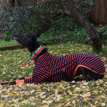 Load image into Gallery viewer, Gator Hound - Greyhound Dog Clothing & Coats