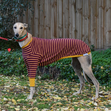 Load image into Gallery viewer, The Padfoot - Greyhound Dog Clothing & Coats