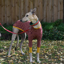 Load image into Gallery viewer, The Padfoot - Greyhound Dog Clothing & Coats