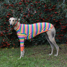 Load image into Gallery viewer, Sour Patch Pup - Whippet Dog Clothing & Coats