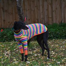 Load image into Gallery viewer, Sour Patch Pup - Whippet Dog Clothing & Coats