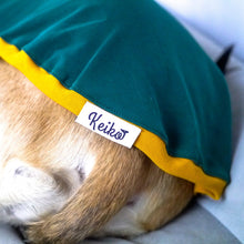 Load image into Gallery viewer, Emerald Hound - Whippet Dog Clothing & Coats