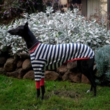 Load image into Gallery viewer, Sailor Rouge - Greyhound Dog Clothing & Coats
