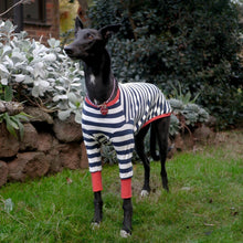 Load image into Gallery viewer, Sailor Rouge - Greyhound Dog Clothing & Coats