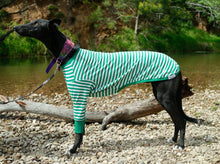 Load image into Gallery viewer, Sports Hound