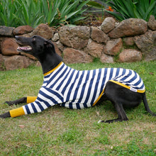 Load image into Gallery viewer, Sailor Mustard - Greyhound Dog Clothing & Coats