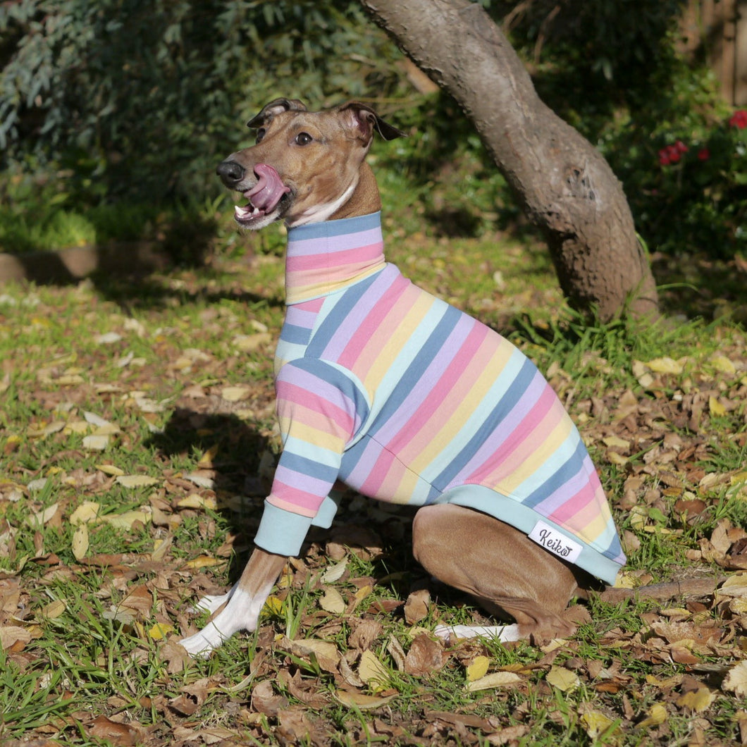 Paddlepup - Italian Greyhound (Iggy) Dog Clothing & Coats