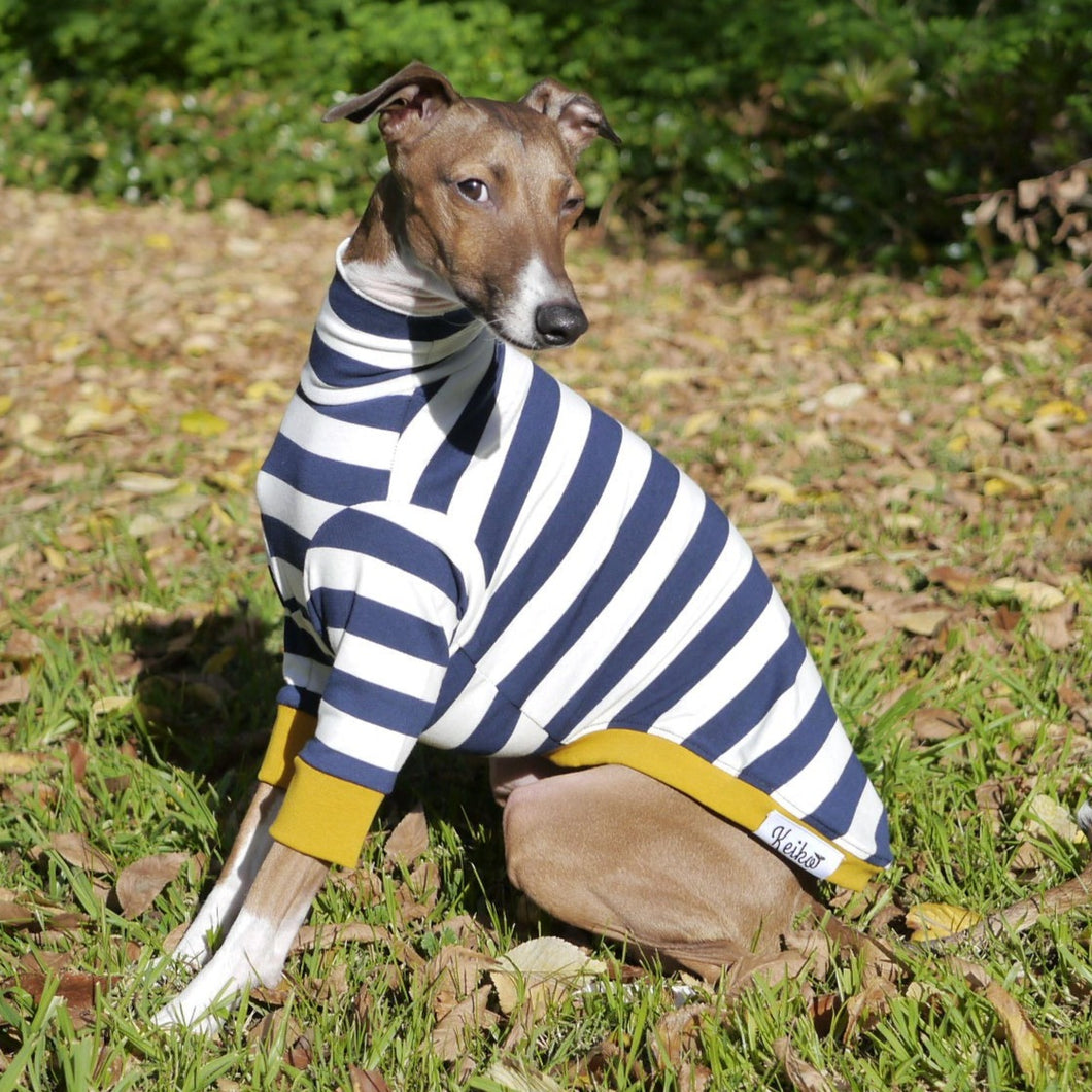 Sailor Mustard - Italian Greyhound (Iggy) Dog Clothing & Coats