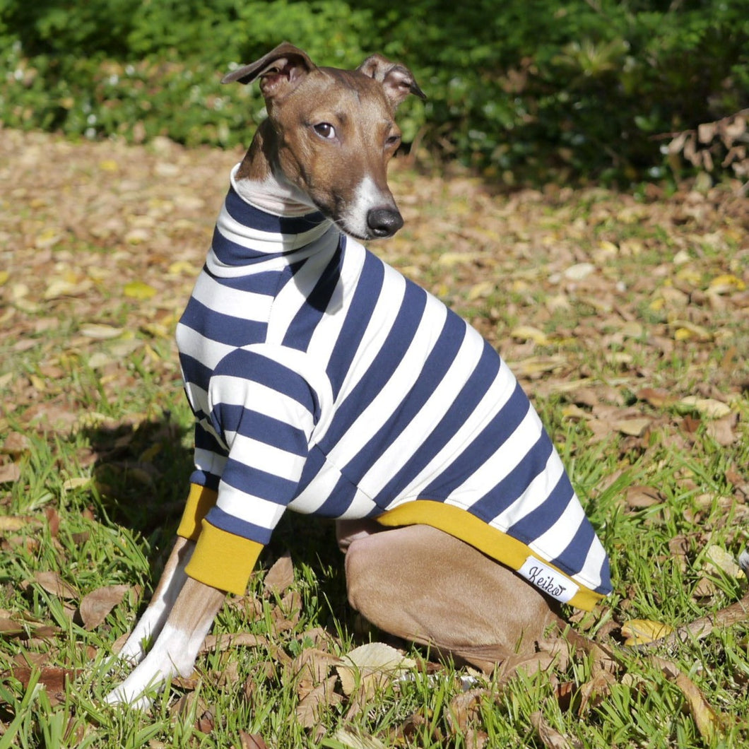 Iggy Italian Greyhound Sailor Mustard Italian Greyhound Clothing