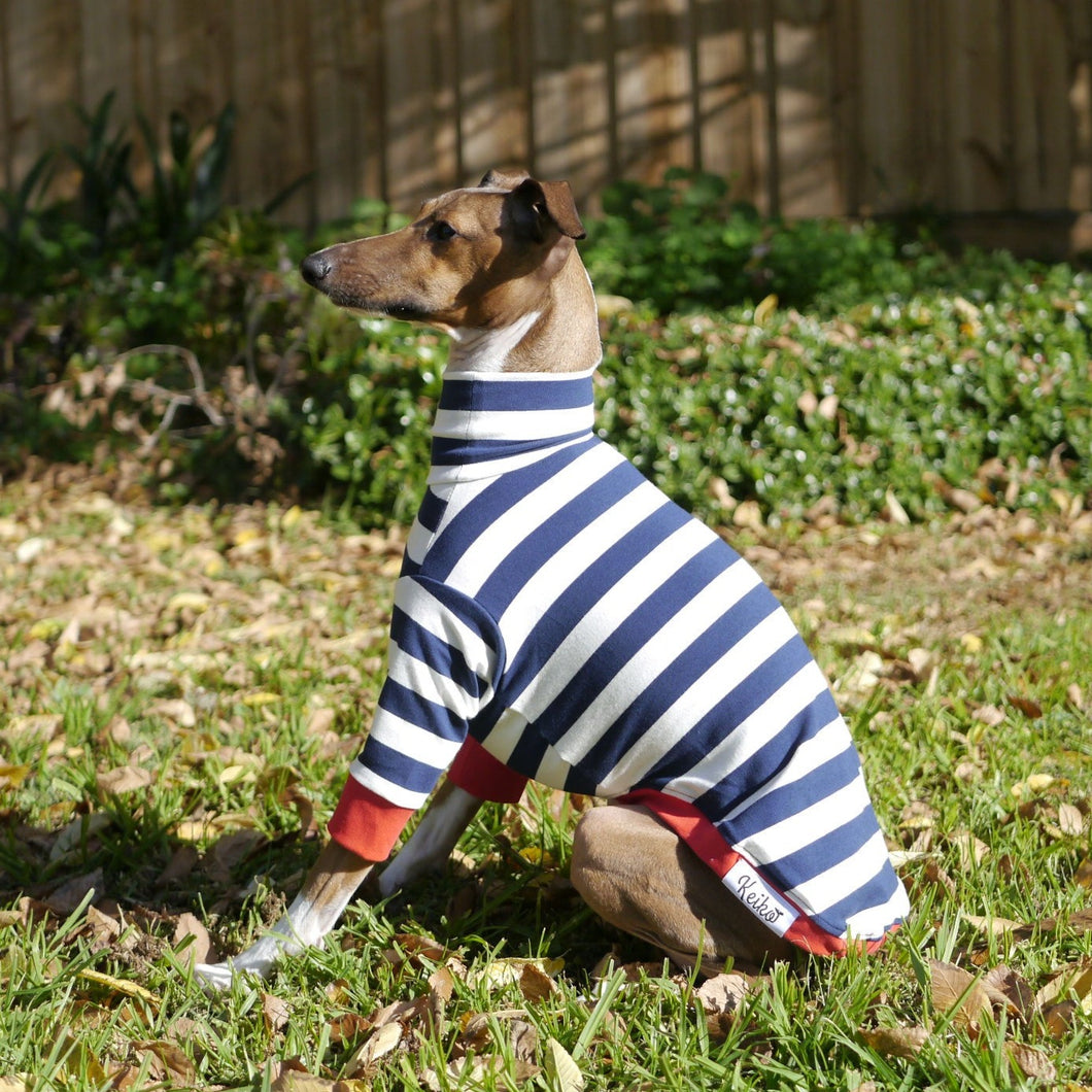 Sailor Rouge - Italian Greyhound (Iggy) Dog Clothing & Coats