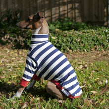 Load image into Gallery viewer, Sailor Rouge - Italian Greyhound (Iggy) Dog Clothing &amp; Coats
